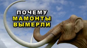 Почему мамонты вымерли