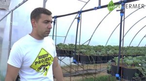 КЛУБНИКА #1 ? Выращивание клубники в теплице. Основы и начало бизнеса. В гостях у ЮрАгро