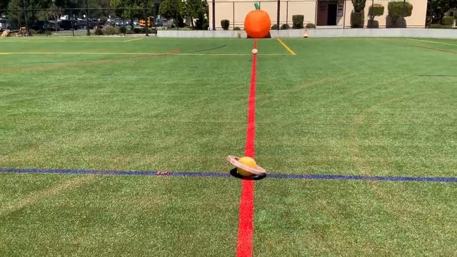 (Nearly) Scale Model of the Solar System on the LAX Field смотреть онлайн