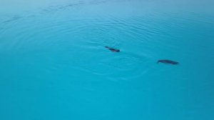 ГРЕНЛАНДИЯ  В  4К КАЧЕСТВЕ