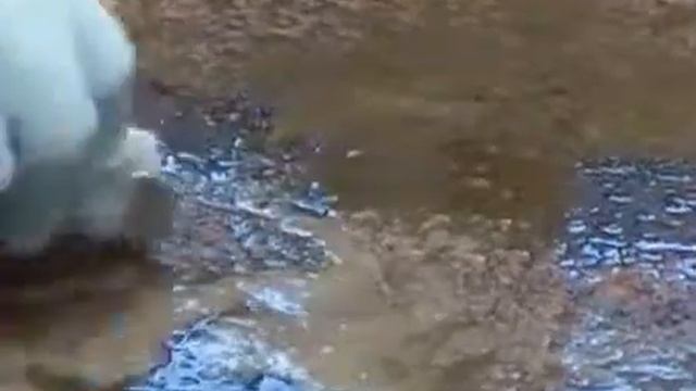 Очиститель камня АКЕМИ смотреть онлайн