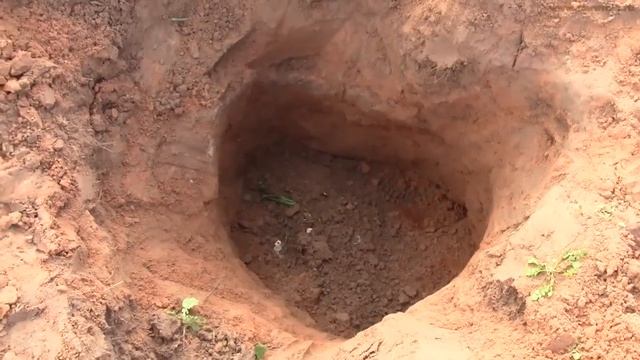 ПОИСК МОНЕТ И КЛАДОВ SEARCHING FOR TREASURE FAR FROM HOME смотреть онлайн