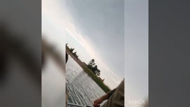 Рыба монстр. Змееголов на живца. смотреть онлайн