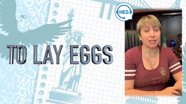 TO LAY EGGS - НЕСТИ ЯЙЦА. Уроки Английского. смотреть онлайн