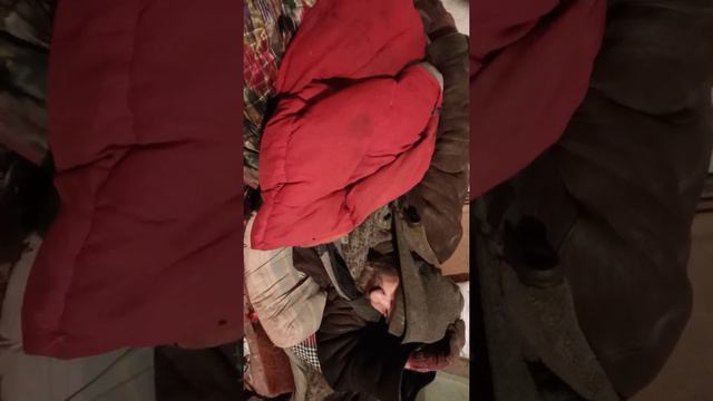 пос.Крестовский .бедолага Вадим смотреть онлайн