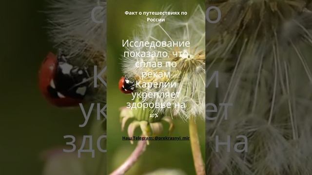 Факт о путешествиях по России смотреть онлайн