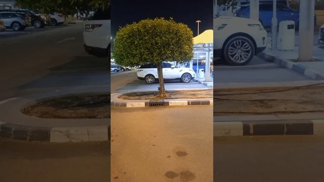 Я в дубаи смотреть онлайн