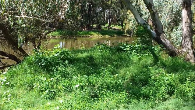 Texas Free Bush Camp NSW Side Dumaresq River смотреть онлайн