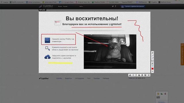 Как сделать скриншот за 3 клика. Скриншот экрана. смотреть онлайн