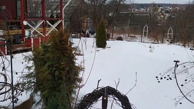 Что оборвало, что разорвало, а что отвалилось! Вот что мы увидели на даче , после зимы! Планы! смотреть онлайн