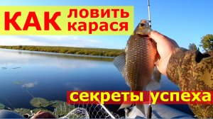 Рыбалка на карася. Ловля карася на фидер.