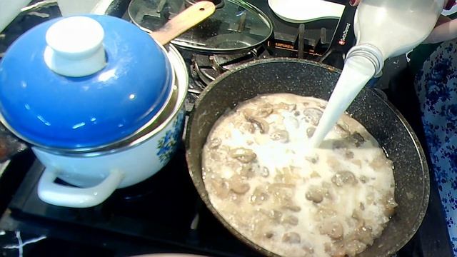 Кулинарное творчество для начинающих 