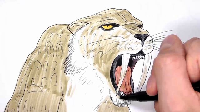 Drawing and Coloring Saber Toothed Tiger - How to Draw Prehistoric Monster the Smilodon смотреть онлайн