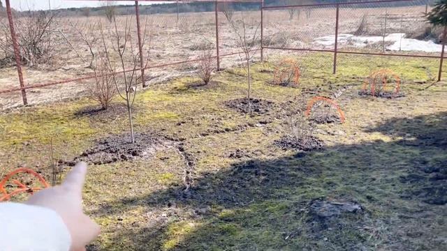 ВЛОГ. Открываем дачный сезон, кто-то перекопал участок. Фестиваль «Маркет у моря». Что там продают? смотреть онлайн