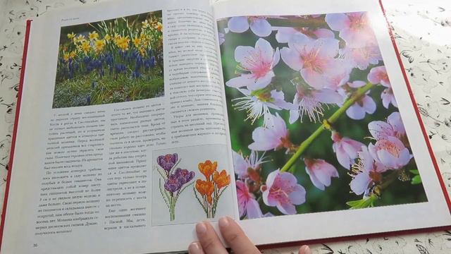 Обзор ВОЛШЕБНОЙ книги ТЕА ГОУВЕРНЕР/ "Райский сад своими руками" смотреть онлайн