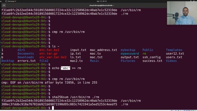 compare vs diff | text, binary, patch смотреть онлайн