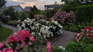 Прогулка по душевному саду Людмилы ????Красивые сады Беларуси ??? Дизайн сада своими руками ??