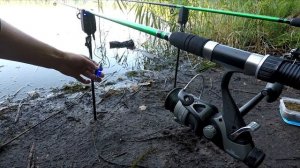 Сигнализатор поклёвок для фидера. Ловля рыбы на фидер. Обзор