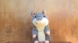 Хомяк-повторюшка свистит