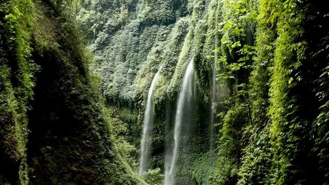 Relax / Rain Sounds /Расслабляющие звуки дождя / Медитация смотреть онлайн