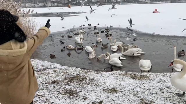 Swan Lake - piano von Albert - П.Чайковский Лебединое озеро смотреть онлайн