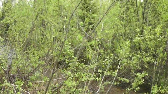 колба смотреть онлайн