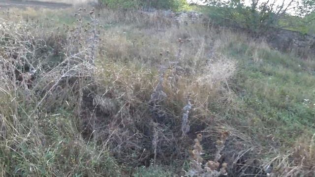 Загадочное место и заброшенное кладбище. Донская Балка и Каролино-Бугаз. "НЕ ЛЕЗЬ ТУДА!" смотреть онлайн