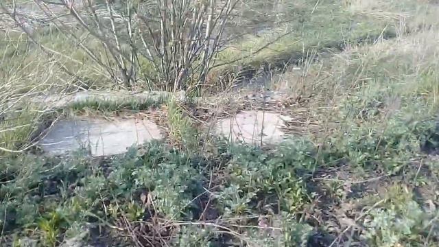 ГОЛОСА ИЗ-ПОД ЗЕМЛИ |||Не кликбейт смотреть онлайн