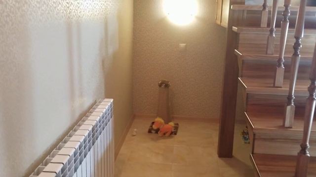Дом в Белгороде смотреть онлайн