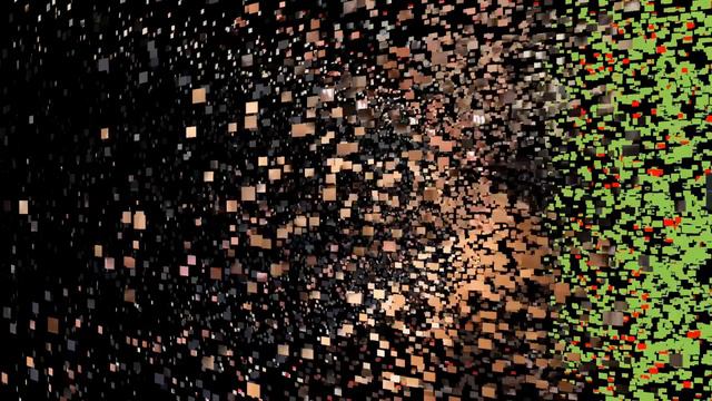 Celebrities With Their Adorable Pets Part 154/Camera смотреть онлайн