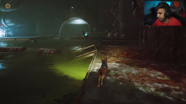 IT'S TIME TO ESCAPE FROM CITY | STRAY GAMEPLAY #4 смотреть онлайн