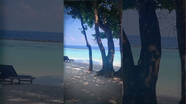 Балдеж на Мальдивах #путешествия#мальдивы