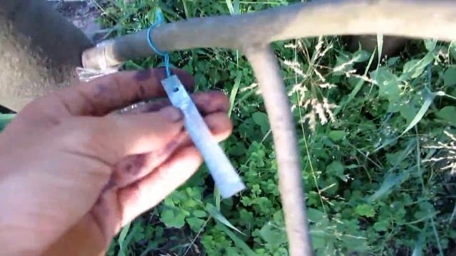 Результаты прививки азимины смотреть онлайн