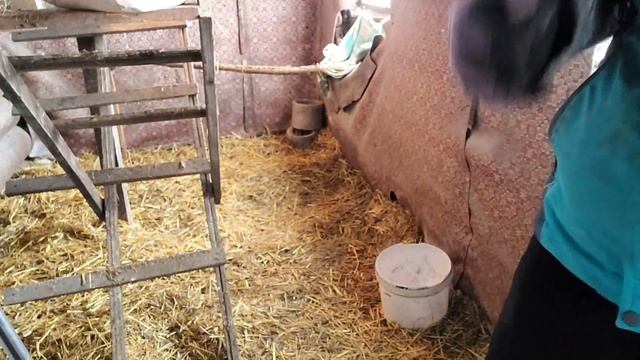 Как устранить запах и снова эксперимент.... смотреть онлайн