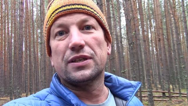 На МАШИНЕ ВРЕМЕНИ за БЕЛЫМИ ГРИБАМИ! Грибы 2020. Белый гриб. Белые грибы 2020. Mushrooms. キノコ. Pilz