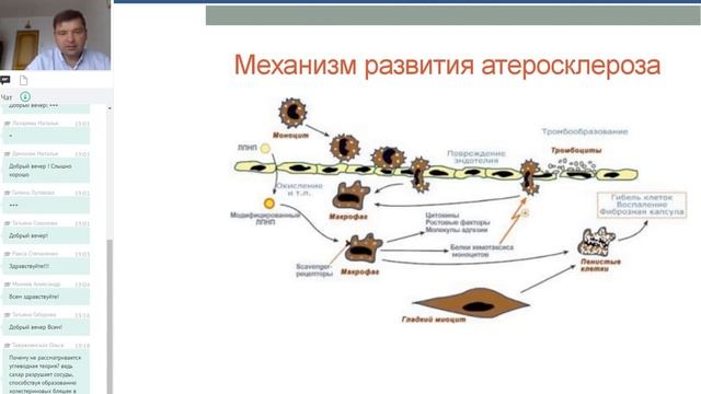 Антилевский набора Защита сосудов смотреть онлайн