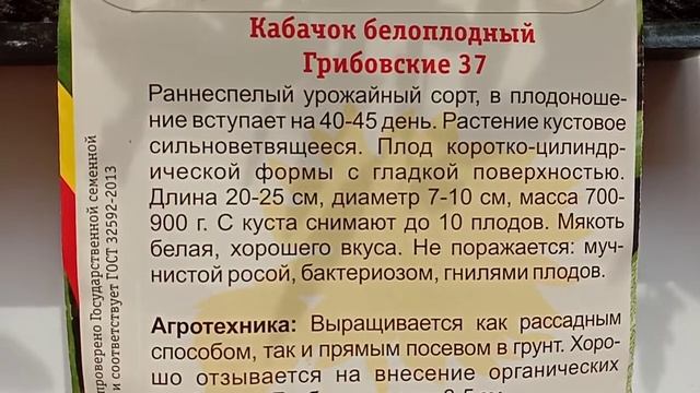 КАБАЧОК ГРИБОВСКИЕ 37. ОБЗОР. ОПИСАНИЕ. ХАРАКТЕРИСТИКА смотреть онлайн