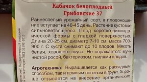 КАБАЧОК ГРИБОВСКИЕ 37. ОБЗОР. ОПИСАНИЕ. ХАРАКТЕРИСТИКА