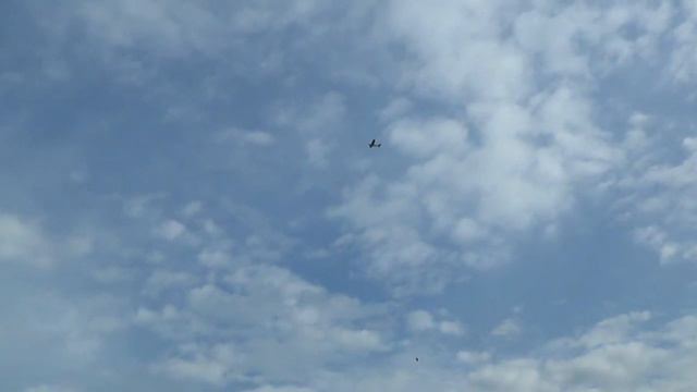 Cessna 182 на берегу Упы смотреть онлайн