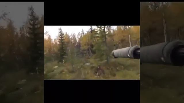 Лось гон смотреть онлайн