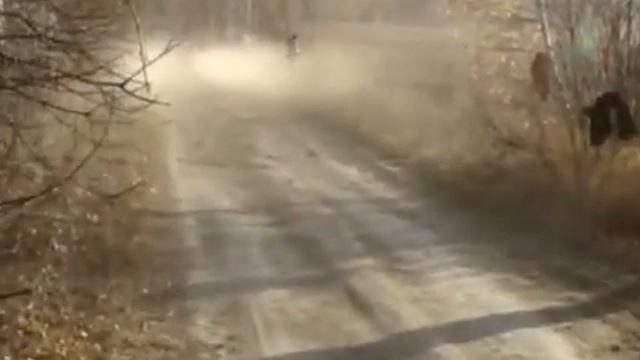 новогорный смотреть онлайн