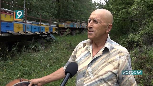 Пчеловоды качают мёд нового урожая смотреть онлайн