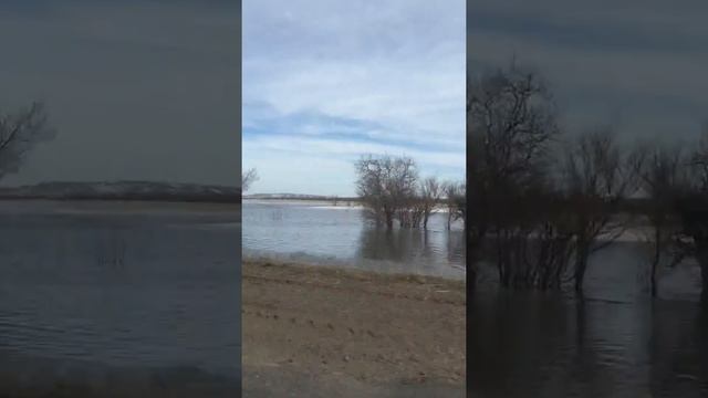 Трасса Караганды- Ботакара смотреть онлайн