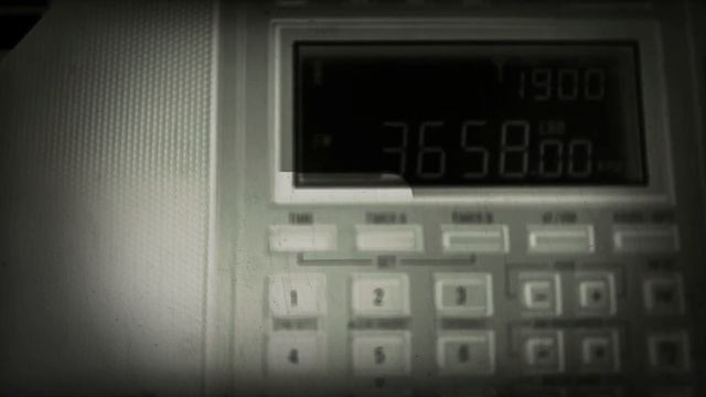 Tecsun pl-990x Заняли его частоту, мужик очень недоволен! 16+ смотреть онлайн