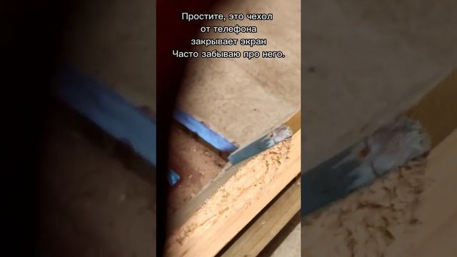 #Неведомый зверь#. жуть что происходит ночью#. Ночь. 3 часа. Подробности в описании. смотреть онлайн