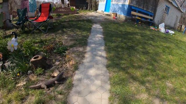 Чупик Стар на карантине в селе с братьями и сестричкой. Часть 1 смотреть онлайн