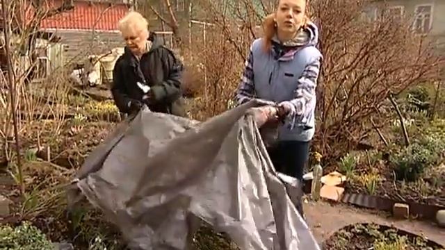 Выставка садово дачных новинок и уход за розами весной смотреть онлайн