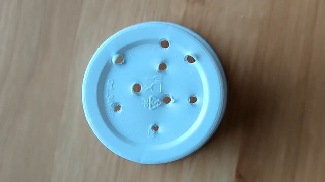 How to Grow Pine Tree from Seed. Easy way. смотреть онлайн