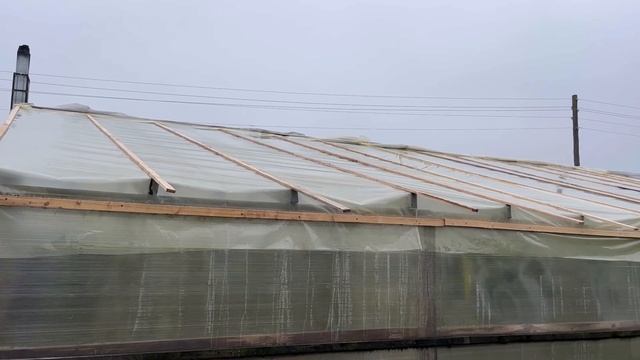 Последние сборы огурца 10.11.22г. Делаем ремонт теплиц.Огурец Бьерн. Огурец Северин. смотреть онлайн