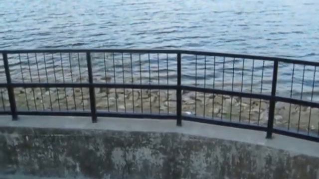 Речку Гусь перекрыли плотиной смотреть онлайн